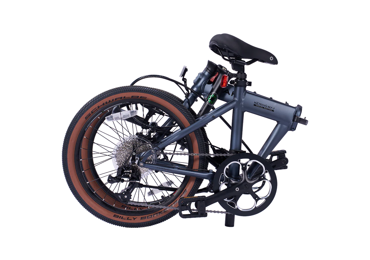 Xe đạp gấp Dahon Hemignway Gravel 20inch 0