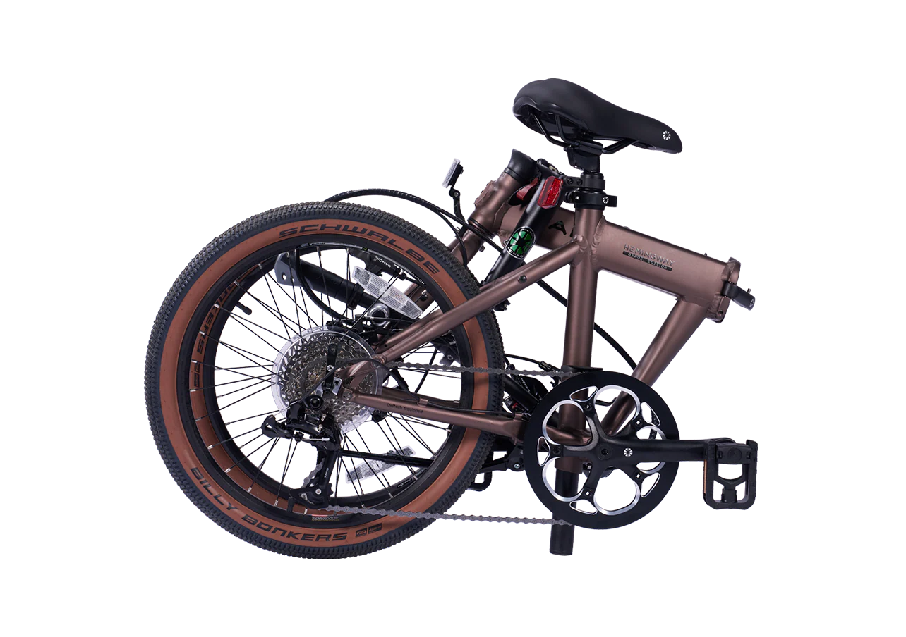 Xe đạp gấp Dahon Hemignway Gravel 20inch 1